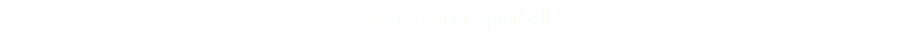 E rinasce ancora più bella